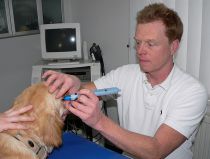 Augendruckmessung (Tonometrie) Augendruckmessung (Tonometrie)