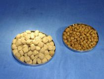 Zahnputz-Futter (links), normales Trockenfutter (rechts) Zahnputz-Futter (links), normales Trockenfutter (rechts)